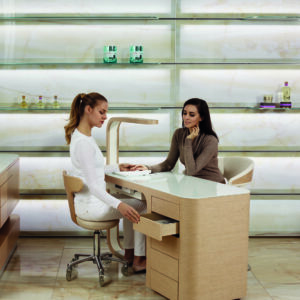 Alternative view of Nilo stol HIBISCUS